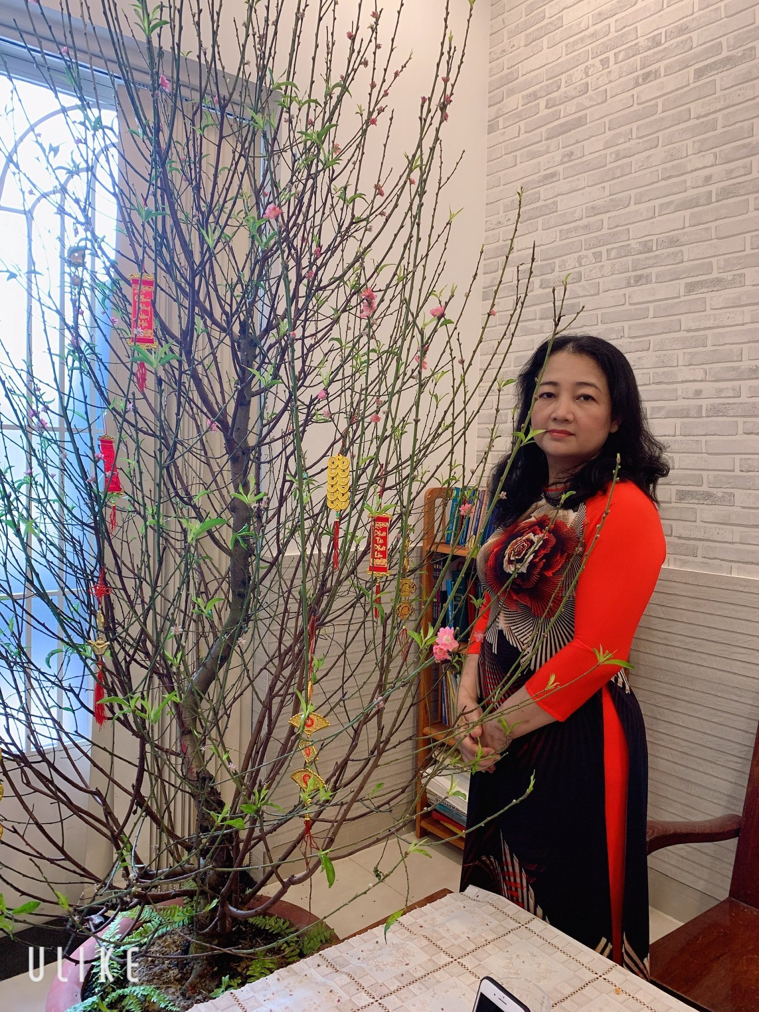 Nguyễn Thụy Hồng Thảo, CPA